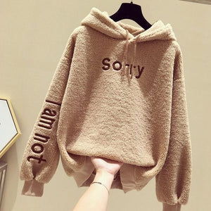 Warm Spring and Autumn Women Long Hoodies Women's Loose Hooded Sweatshirts Turtleneck Spring Thin Women's Hoodies